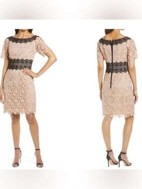 NWT SHANI Colorblock Lace Sheath Dress Champagne 10